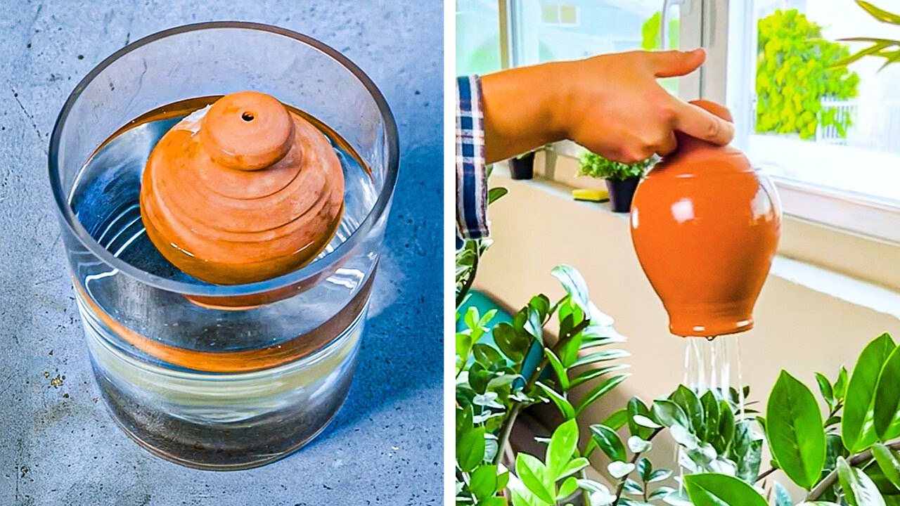 Useful Garden Tools for Easy Plant Caring