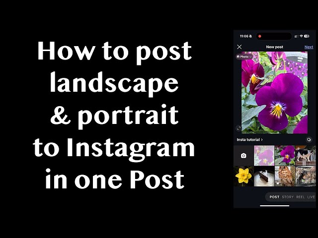 Instagram Mixed Orientation Not Working: Quick Fixes and Solutions