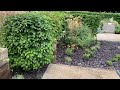Jack Berry House Sensory Garden 2023