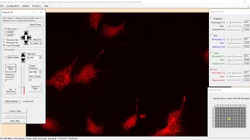 Demonstration of Autofocus and Composite Image on the LS720