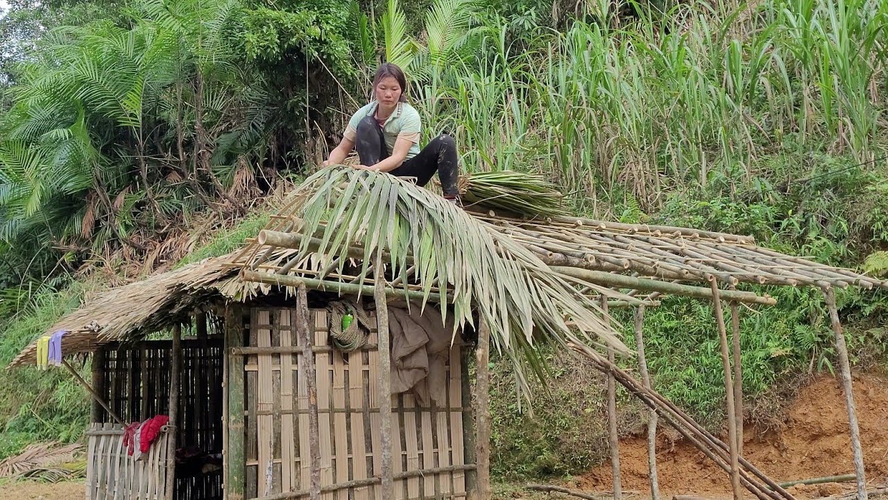 20 Year Old Single Mother - Harvesting Cassava Goes to the market sell ...