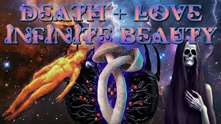 Death, Love, and Infinite Beauty - Psilocybe Natalensis (Ochraceocentrata)TRIP REPORT