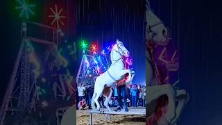 Allah Allah Allahu Horse & Camel Racing Video