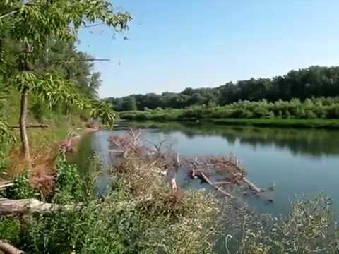 Река Урал Оренбург рыбалка с внуком - YouTube Река Урал Оренбург рыбалка с внуком - YouTube