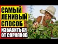 Биогард средство от сорняков инструкция и цена ❕