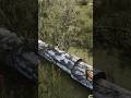 cutting down a tree with an axe #farming #gaming #gameplay ##fs25