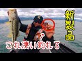 【初公開】キムケン秘密の新ワームがとんでもなく釣れる