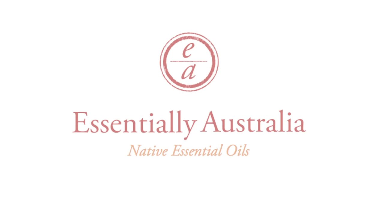 茴香香桃木Anise Myrtle香氣介紹