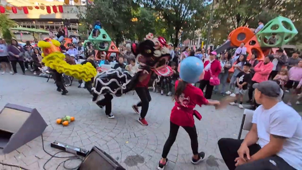 JLDP: Boston Chinatown Night Market