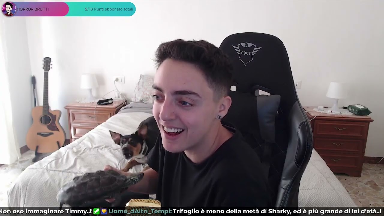 In evidenza: 🔴 BUONGIORNISSIMO, THE SIMS?! ❗social ❗telegram ❗discord