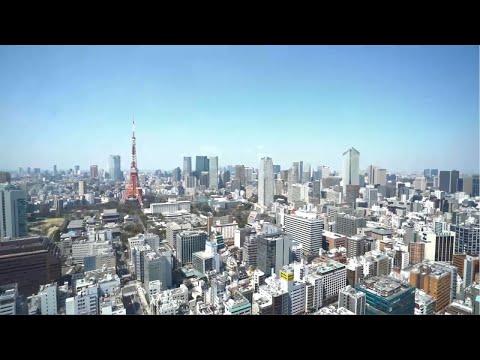 Why you should consider a career with Hays Japan