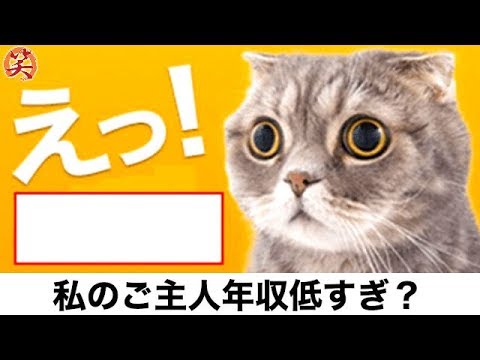 ボケて 猫のネタまとめ 244 爆笑屋 Youtube