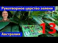 Совсем немного о папоротниковый рае. (видео 640)