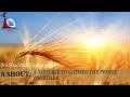 M.O.H.A MACHAKOS SHOWGROUND CHURCH WEDNESDAY FELLOWSHIP 1/OCT/2025