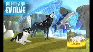 Wolf: The Evolution - Online RPG GamePlay Android mobile game / action and adventure