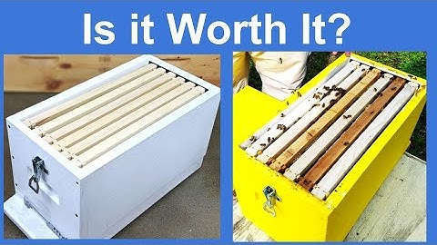 6 Frame Polystyrene Nuc: Is It Worth It for Beekeepers?