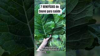 7 Benefícios Da Couve Para Saúde Ável