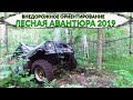 ТРОФИ ОРИЕНТИРОВАНИЕ ЛЕСНАЯ АВАНТЮРА 2019