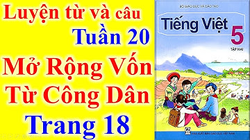 Tiếng Việt Lớp 5 Tuần 20 Luyện Từ Và Câu – Mở Rộng Vốn Từ Công Dân – Trang 18