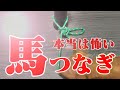 【ロープ】安全な馬つなぎを考える( + シベリアンヒッチ)/The True Meaning of the Hitching tie( + Siberian hitch )