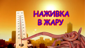Как сохранить наживку в жаркую погоду