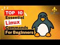 Unlock the power of linux top 8 essential commands for beginners