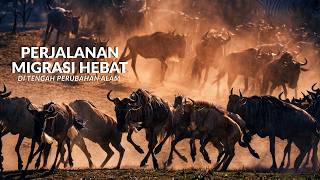 Bertaruh Nyawa! Perjuangan Migrasi Massal & Kisah Bertahan Hidup hewan lain #temansahur #temantidur 