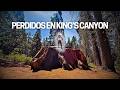 KING'S CANYON • De Parques Nacionales por EE.UU. ⛰️🐻