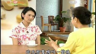 現代心素派 我的素人生 沈惠賢