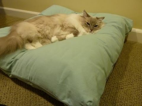 cat-pillow-bed-from-peach-pet-provisions-arrives-for-review---ねこ---ラグドール---floppycats