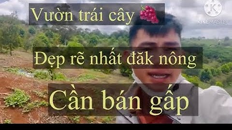 Bán vườn trái cây đẹp nhất đăk nông 16000m2 giá 2 tỷ cả lô