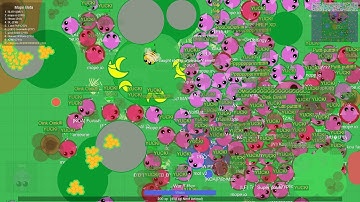 MOPE.IO // 1V1 WITH BUGS // FT. MYSELF