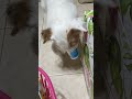 JRT Toto EP. 80.