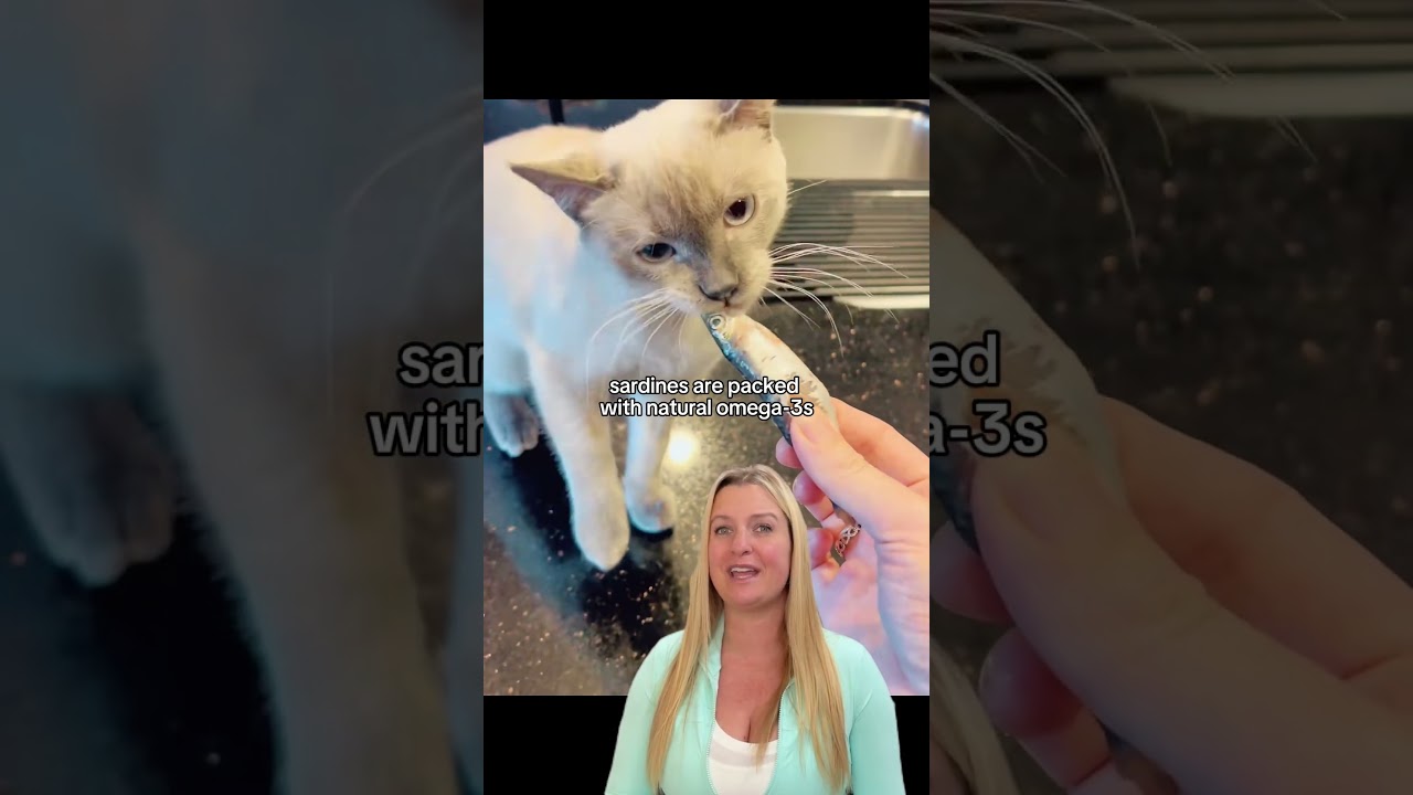 5 foods that will help your cat stay happy and healthy…🐱‼️