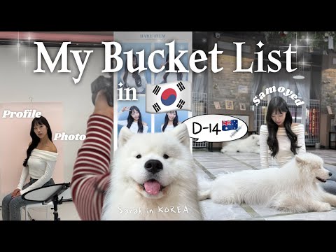 [한국Vlog🇰🇷] 호주출국 D-14.호주에 가기로 결심했다(feat.호주간호사🇦🇺💉)| 한국 버킷리스트 | 헤메프로필사진 | 사모예드 강아지카페 | 홍대 겨울이 머무는 집🐾❄️