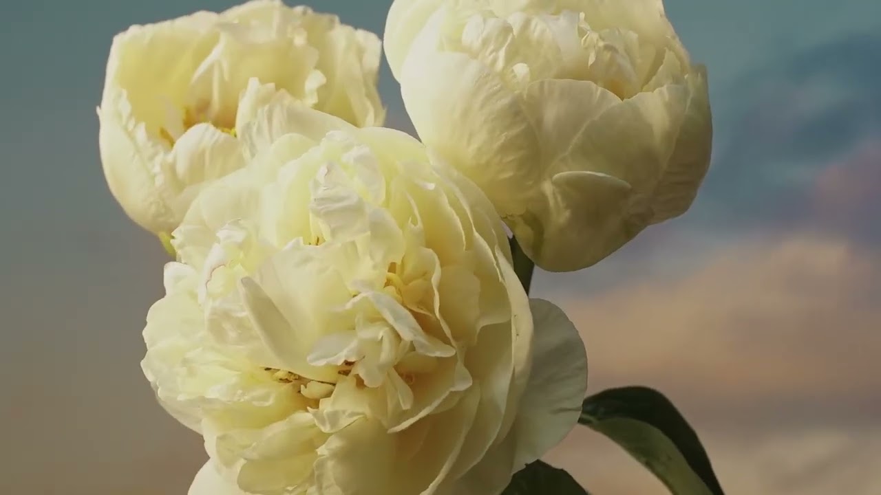 video Flora Gorgeous Orchid de Gucci Eau de Parfum