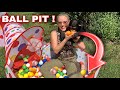 Baby Chimp plays in a Ball Pit!