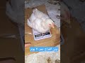 وزن الفراخ البيضه عمر ٣٠ يوم