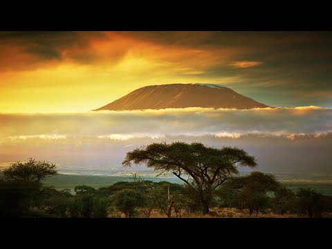 Vídeo: 8 fatos interessantes sobre o Kilimanjaro