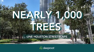 Post Oak Blvd in Houston Goes Green with Help from Silva Cells