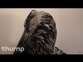 Echavox - "Mumbles" (Official Video)
