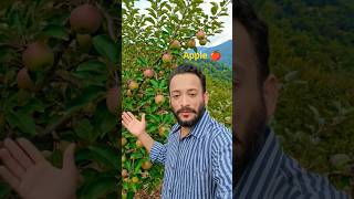 Apple farming 🍏#shorts #aishorts #trending #vairalshort