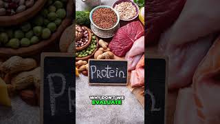 Digest Plant Protein: Why You Feel Bad, Fix Digestion