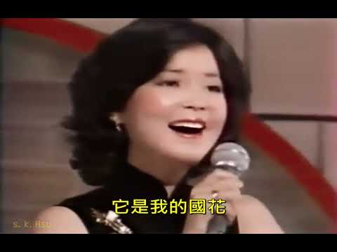 梅花-鄧麗君（加上字幕）