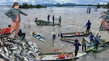 Khủng khiếp lũ Campuchia tràn qua đập tha la An Giang ùn ùn người mạo hiểm vớt cá linh