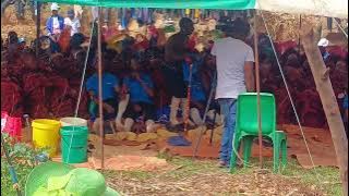 Ntate Maema lekhele 🔥.