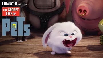 The Secret Life Of Pets | Happy Easter (HD) | Illumination