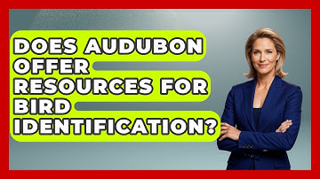 Does Audubon Offer Resources For Bird Identification? - Bird Watching Diaries