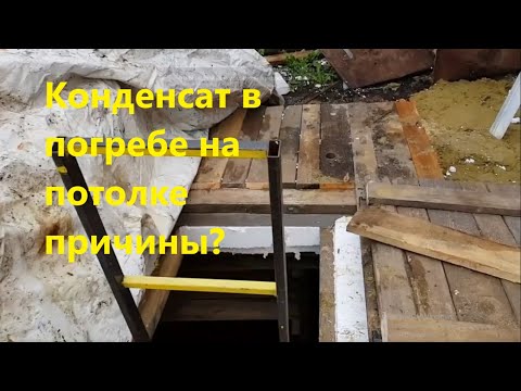 Конденсат в погребе на потолке причины?