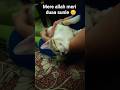 duaa allah se #trending #status #cute #cat #bayaan #shorts #ramzan #nabi #|@Goldenbeauty2007